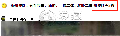 1951年骆驼队一万元最新行情 一万元骆驼队图片