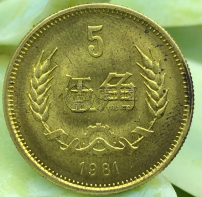 1981年长城5角硬币值多少钱 市场价是多少