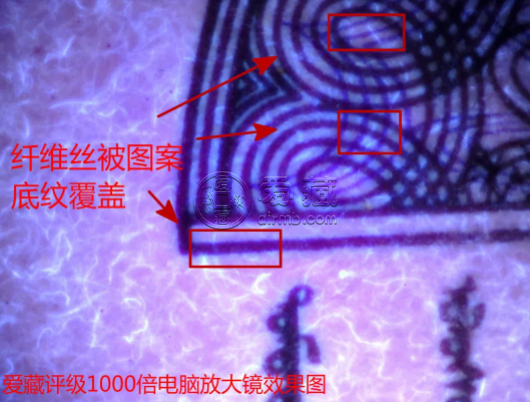 8002小纖云價(jià)格 8002纖云怎么看