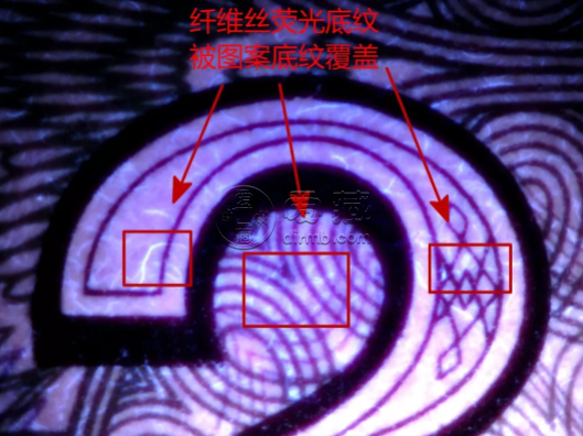 8002小纖云價(jià)格 8002纖云怎么看