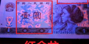 801红金龙最新价格 801红金龙冠号表