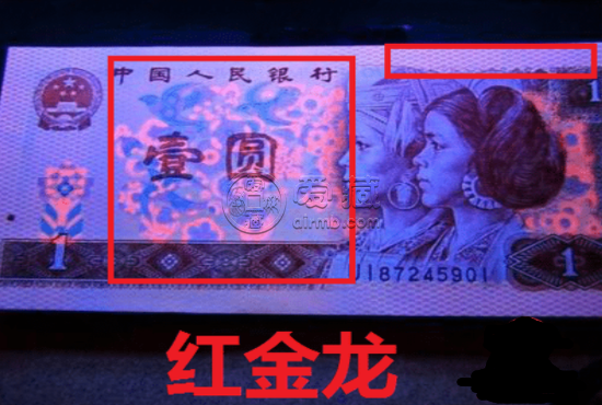 801红金龙最新价格 801红金龙冠号表