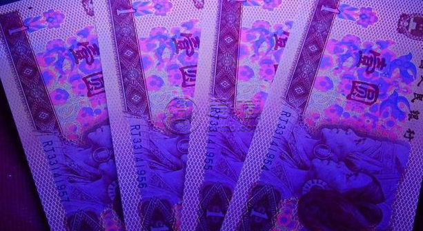 801红金龙最新价格 801红金龙冠号表