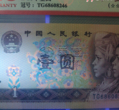 801红金龙最新价格 801红金龙冠号表