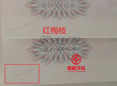 995红梅枝市场价格 99版5元纸币价格