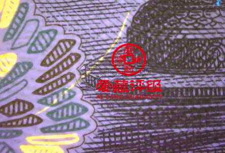 991熒光幣品種分類 991元熒光幣