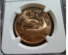 1997年珍稀动物白海豚5盎司金币价格    白海豚金银币市场最新回收价格