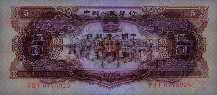 1956年的五元现在价格 黄五元百连最新价格