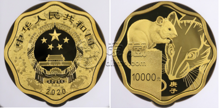 2020年1公斤金鼠價格  2020年1公斤金鼠市場價格