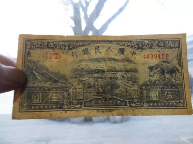 1949年5元水牛圖回收價格  第一套人民幣5元最新價格