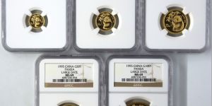 1995年熊猫金币价格与收藏价值