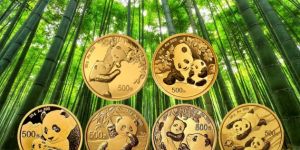 2024年熊猫金币价格 熊猫金币值多少钱