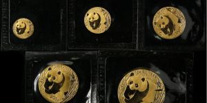 2001年熊貓金幣市場價格 2001年熊貓金幣現在價值多少