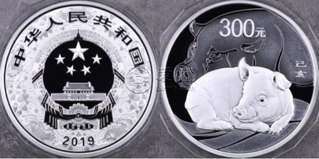 2019年豬年公斤銀幣價格   2019年生肖豬1公斤銀幣回收價