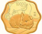 2019年1公斤梅花形生肖猪金币价格 2019年生肖猪1公斤梅花形金币值多少钱