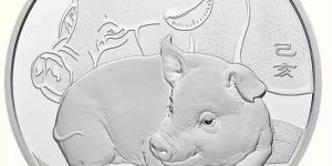 2019年1公斤生肖猪银币价格 2019年生肖猪1公斤银币价格