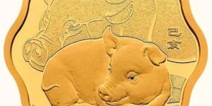 2019年梅花形生肖猪金银币 2019年15克梅花形生肖猪金币价格