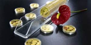 熊猫纪念币回收价目表    熊猫金币回收价格