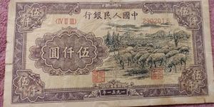 第一套人民幣五千元綿羊價(jià)格   一版幣5000元綿羊版最新價(jià)格