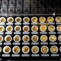 熊貓金幣回收交易中心  熊貓金幣收藏價(jià)值