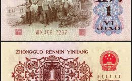 背綠一角冠號(hào)大全 背綠一角冠號(hào)