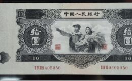 大黑十價格  大黑拾目前市場價格