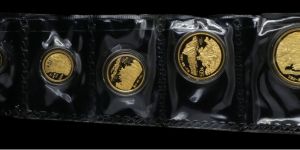 1993年拥有一片故土金币价格   拥有一片故土纪念金币收藏价值