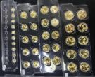 熊猫金币价格   熊猫金币投资与收藏建议