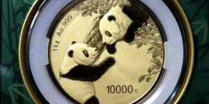 2023年1公斤熊貓金幣價格    2023年1公斤熊貓金幣市場行情