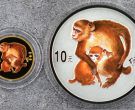 2004年生肖猴彩金银币值多少钱  2004年生肖猴彩金银币最新价格