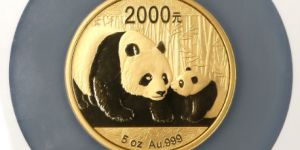 合肥市熊貓金幣交易中心 熊貓金幣今日回收價(jià)目表