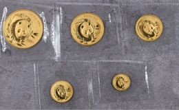 2003年熊猫金币回收价目表   2003年熊猫金币套装值多少钱