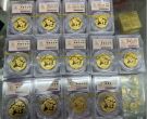 熊猫金币价格   熊猫金币最新市场行情