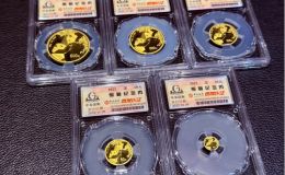 2023年熊貓金幣一套回收價目表   2023年熊貓金幣套裝價格