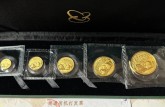 熊猫金币怎么变现_熊猫金币回收/出售全流程