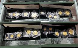 熊猫金币价格  2025熊猫金币最新价目表