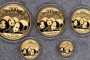今天金币价格是多少 —— 专业视角下的回收全攻略