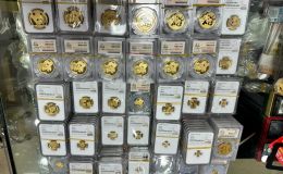 熊猫金币套装回收价目表   2025年熊猫金币市场行情