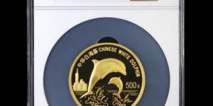 白海豚5盎司金币价格及收藏价值分析