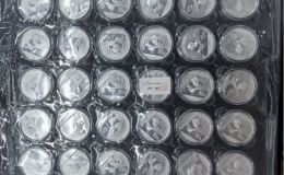 2014年熊猫银币回收价目表最新    熊猫银币值多少钱