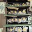 伊春回收熊猫金币｜全国上门服务·估价不收费用·行业高价