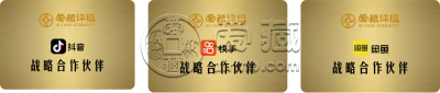 龙银币评级公司选择与送评流程