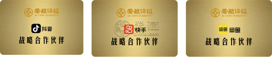 龙银币评级公司选择与送评流程
