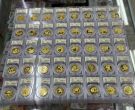 历年熊猫金币回收价目表 2026熊猫金币价值