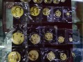 南昌回收熊猫金币 2026年南昌熊猫金币回收渠道及电话