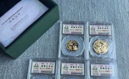 金套猫回收价格 熊猫金币最新价格