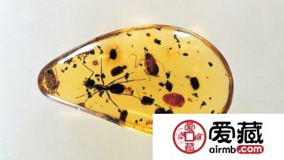 玉石收藏渐发展,琥珀成市场新贵