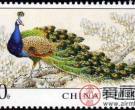 鸟类专题邮票，您了解多少呢？