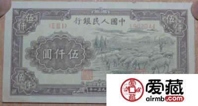 51年5000元牧羊价值浅谈