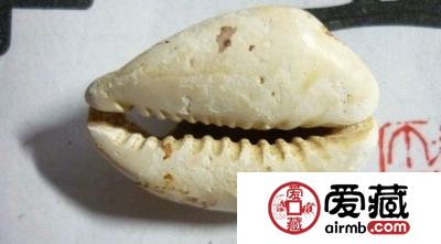 玲珑小巧的贝币